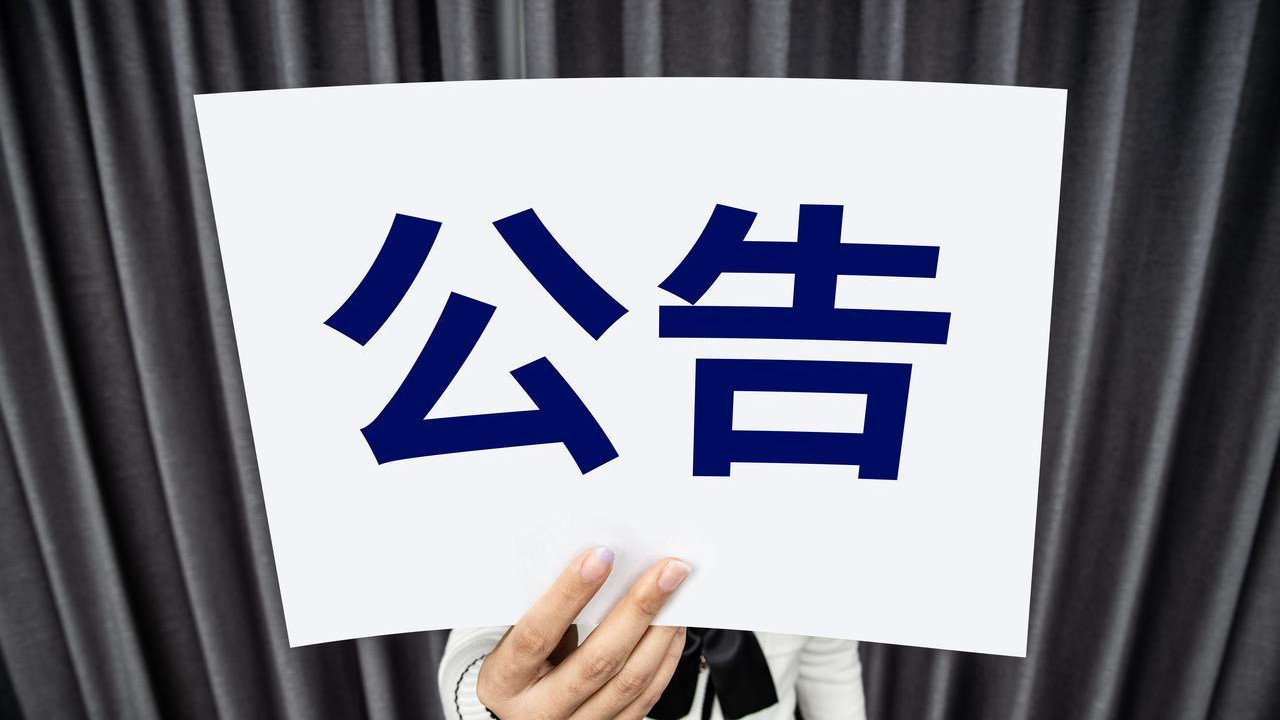 网络拍卖公告：数字时代拍卖盛会的启幕华章