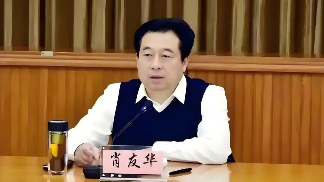 山东副厅级干部肖友华落马：从“五一劳动奖章”获得者到被查的权力蜕变