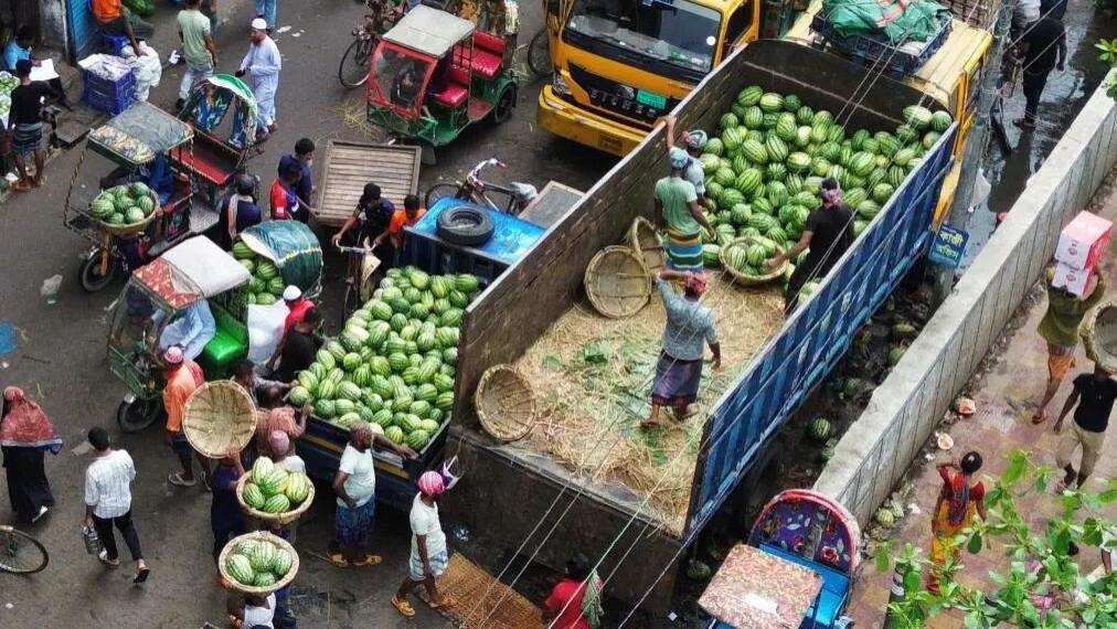孟加拉国暴发麻疹疫情超600人感染 总理下令紧急调查