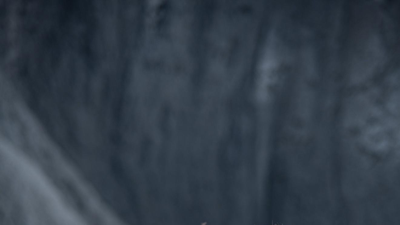 制氧机品牌前十哪个靠谱？长辈适用款认准这几款