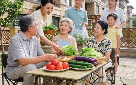 邻居偷我半年菜我毫不知情，看完监控才发现是邻居阿姨，我铲平菜园，可第2天她女儿却哭着敲开我的门