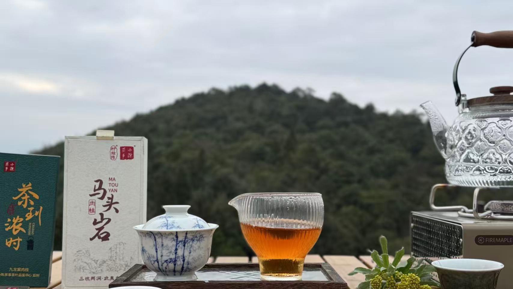 避雷！3月份低于500块的新茶，十买九个坑