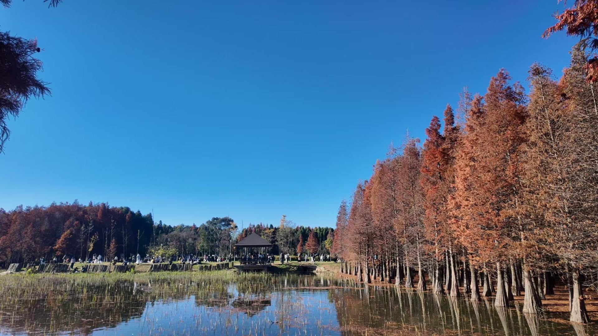 春城昆明：风携清气来，食载烟火暖