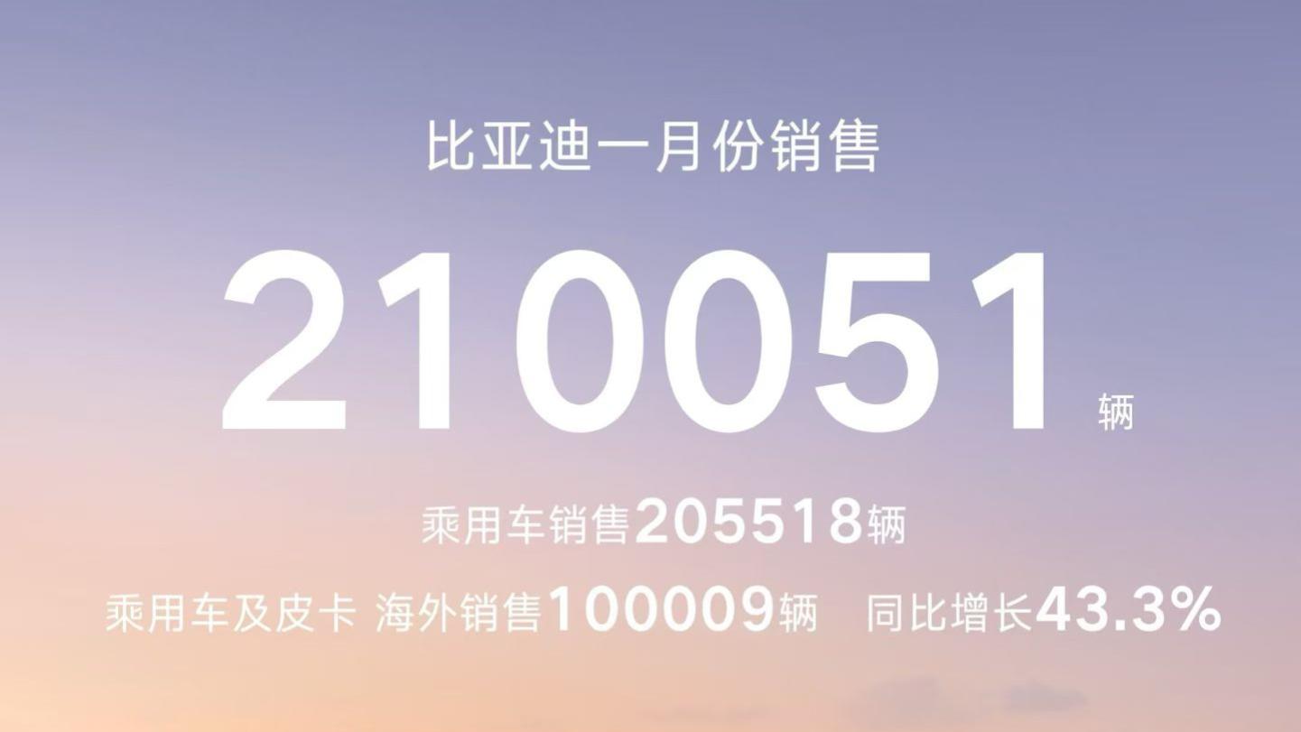 比亚迪稳坐新能源汽车销冠！