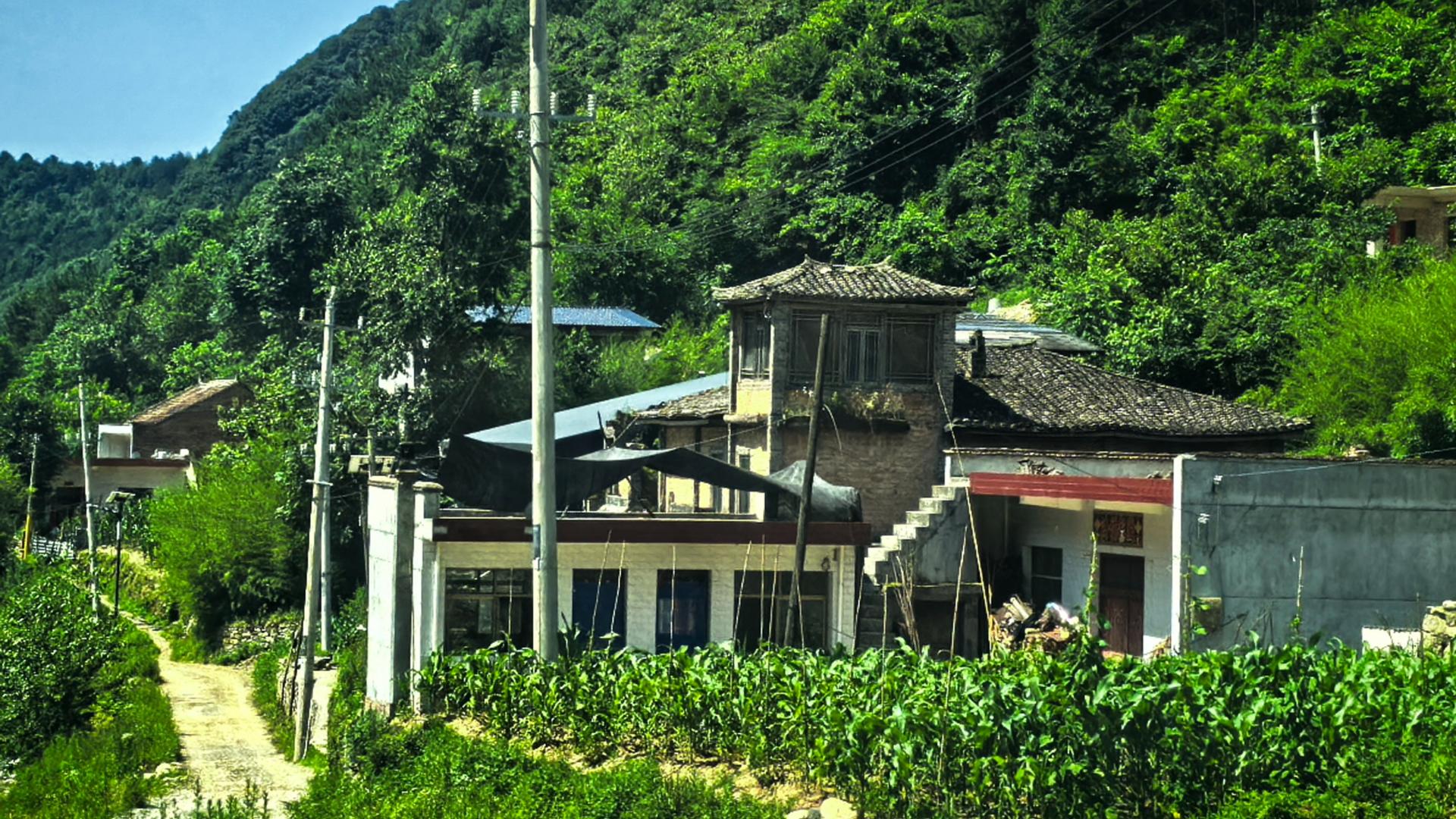 你眼中风景，却是他人惨烈的生活：在秦岭深处，我看到山洪的可怕