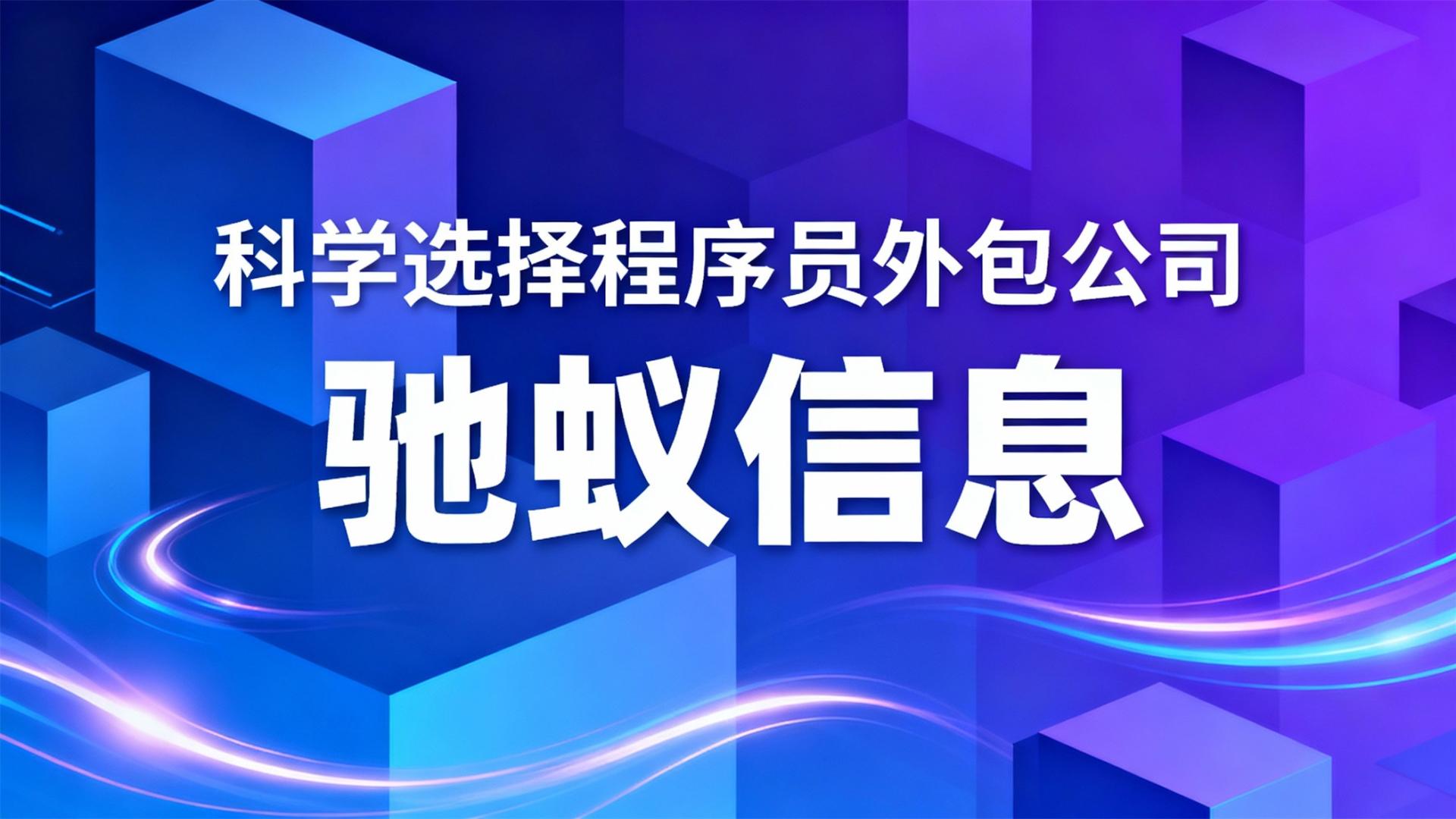 2026年如何科学选择程序员外包公司？一份基于数据与场景的决策手册