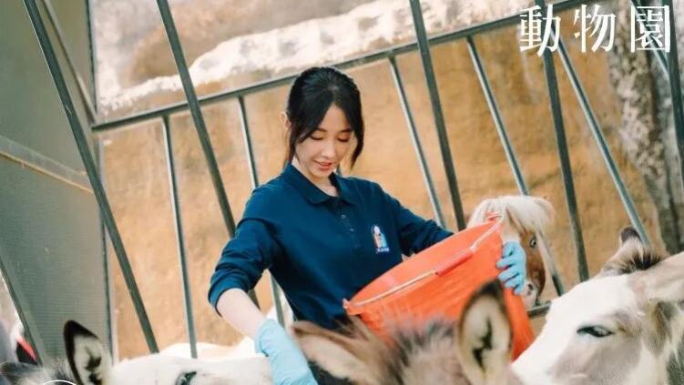 《动物园》：那些看似我们在守护的动物，其实守护的是我们自己