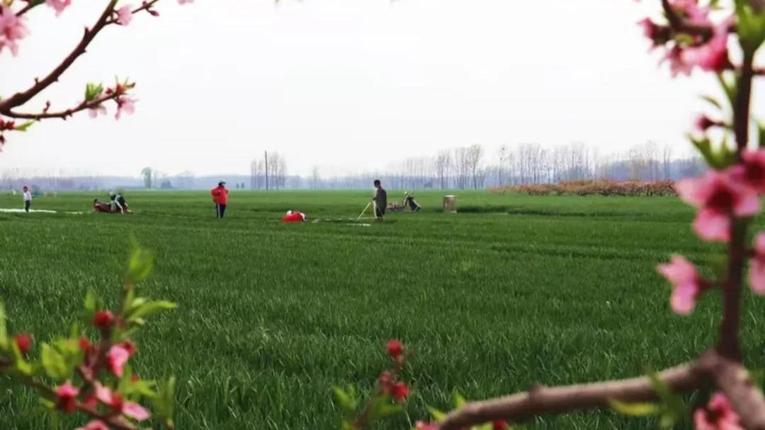 《沐春集》系列散文之二：春寒渡沙颖，故园换新天