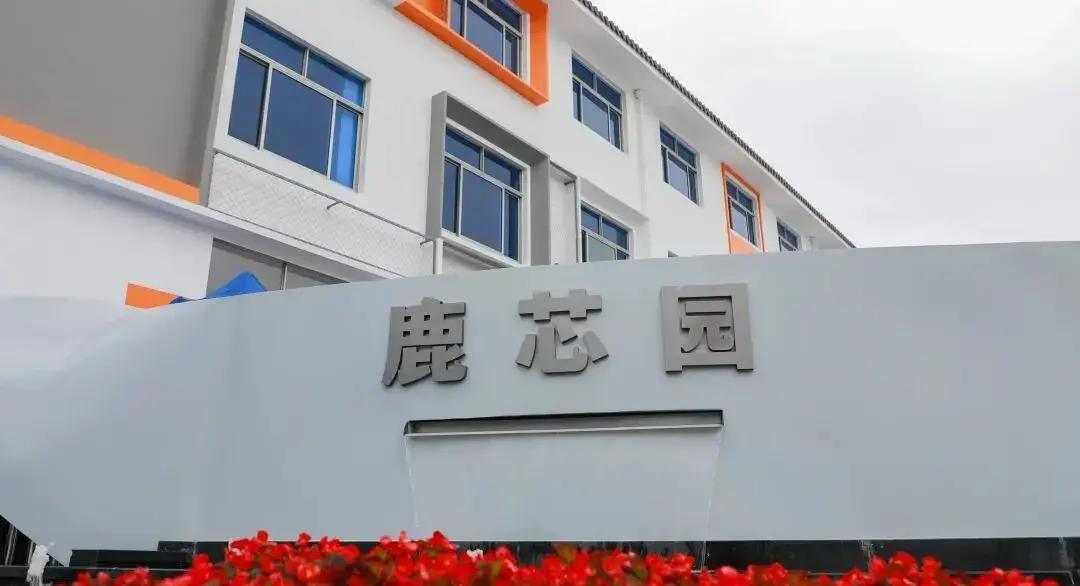 2026年临海鹿芯园，一家小芯片企业硬刚美日巨头，把米粒大小射频模组塞进5G手机