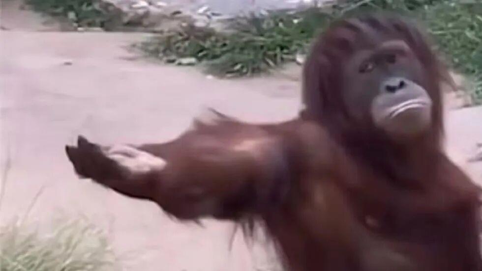 龚宇你别心疼人了