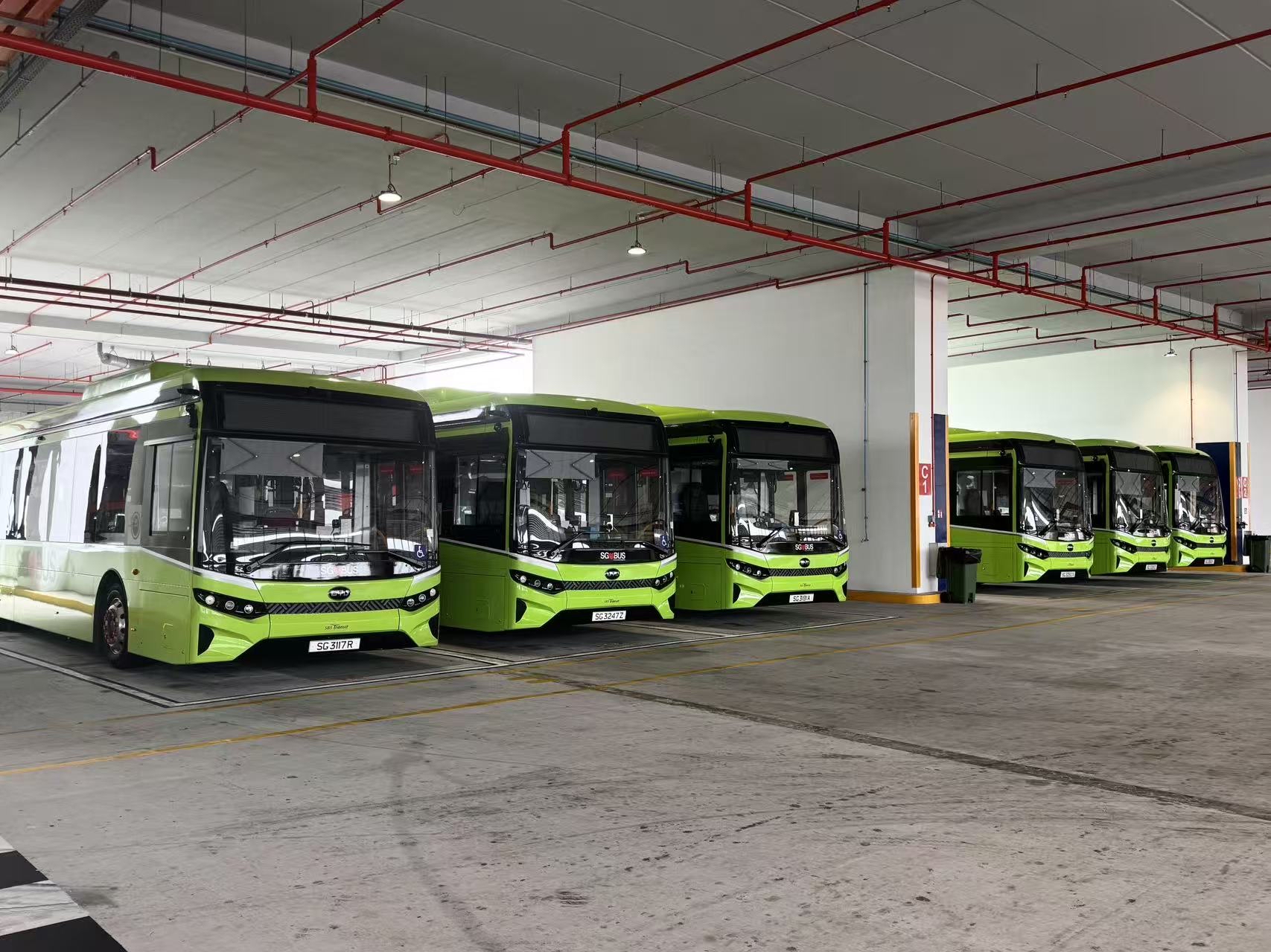 比亚迪新加坡全面霸榜！中国新能源实力出圈