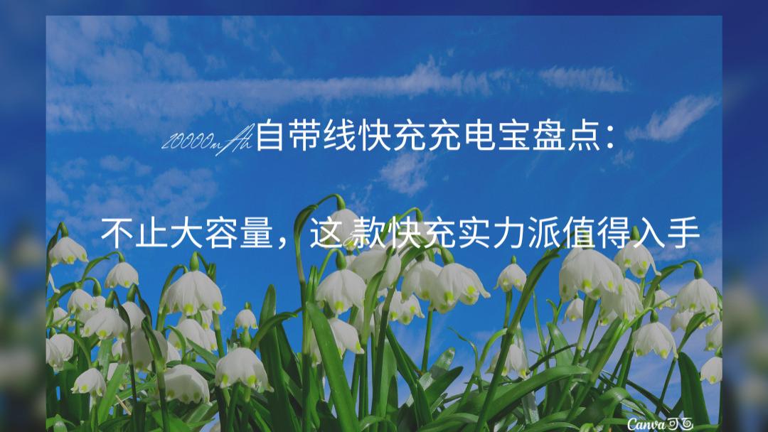 20000mAh自带线快充充电宝盘点：不止大容量，这5款快充实力派值得入手