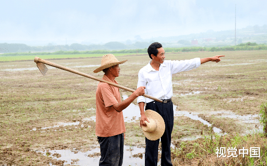 县里强推打卡进村任务，村干部怨声载道！“滑头”镇长表面执行，暗地加“码”，赢得上下一片叫好
