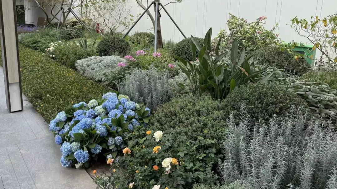 天河这个盘开年就玩性价比？？