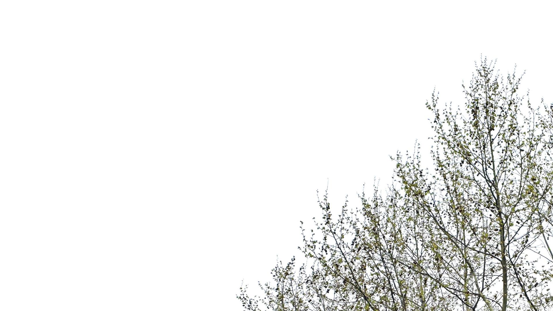 职场沟通：破防了咋整？