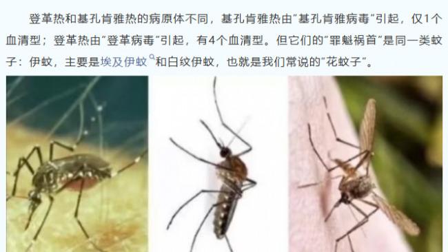 灭蚊灯好还是蚊香好？室内灭蚊灯哪个牌子好？盘点10款靠谱好用的灭蚊灯品牌汇总！