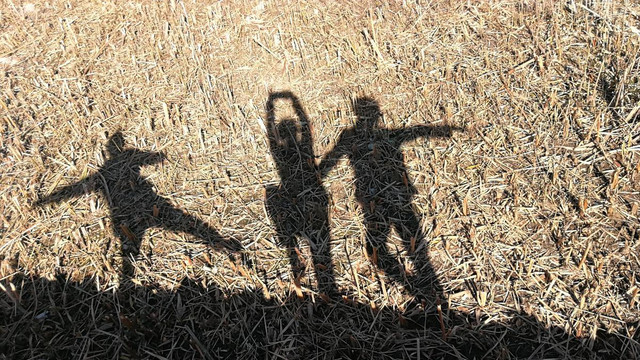 友情与爱情的阴差阳错