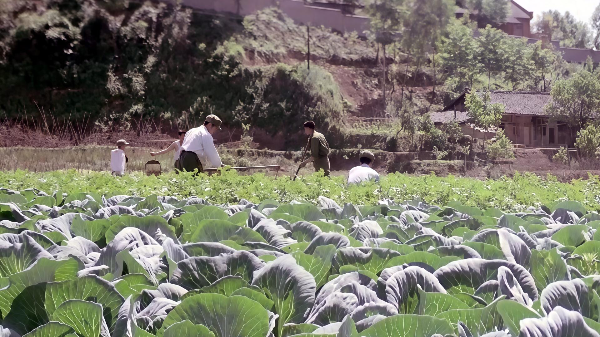 1979年的解放军伙食真的有那么差吗？毕竟能让赵蒙生那么嫌弃
