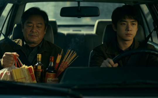 我隐瞒县政府主任身份回老家扫墓，老支书当着全村人的面，逼我给他儿子走后门，直到镇长跑进村