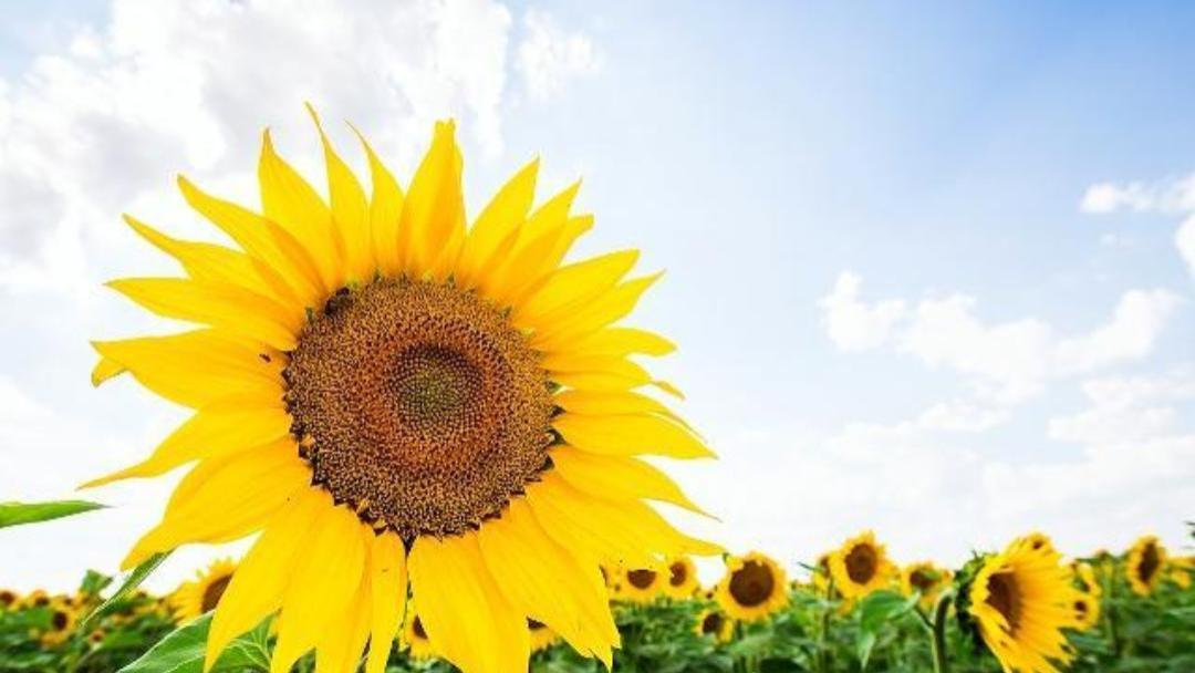 别再内耗了！这12个人生顿悟，治愈了我的前半生