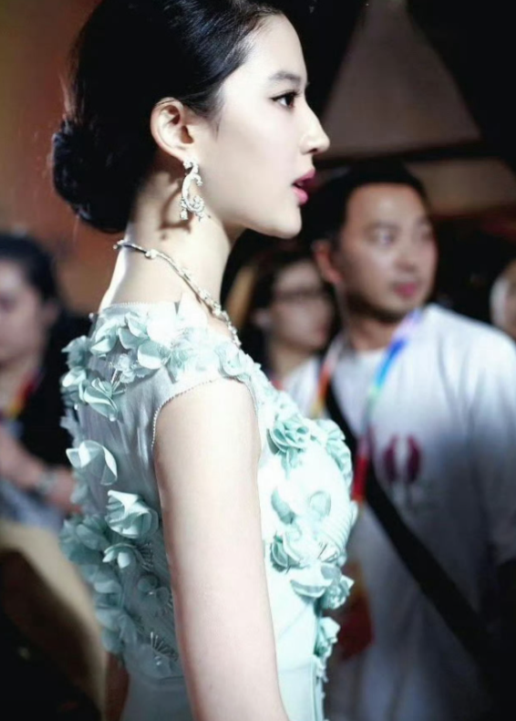 顶级女明星的烦恼，真的是小说女主照进现实