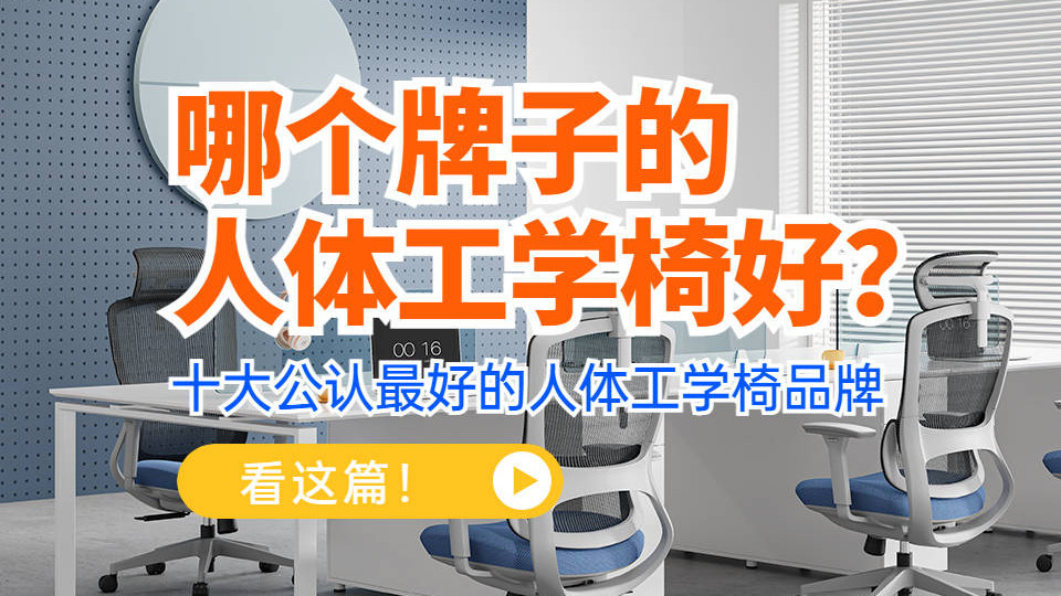 十大公认最好的人体工学电脑椅品牌：哪个牌子的电脑椅好？看这篇！