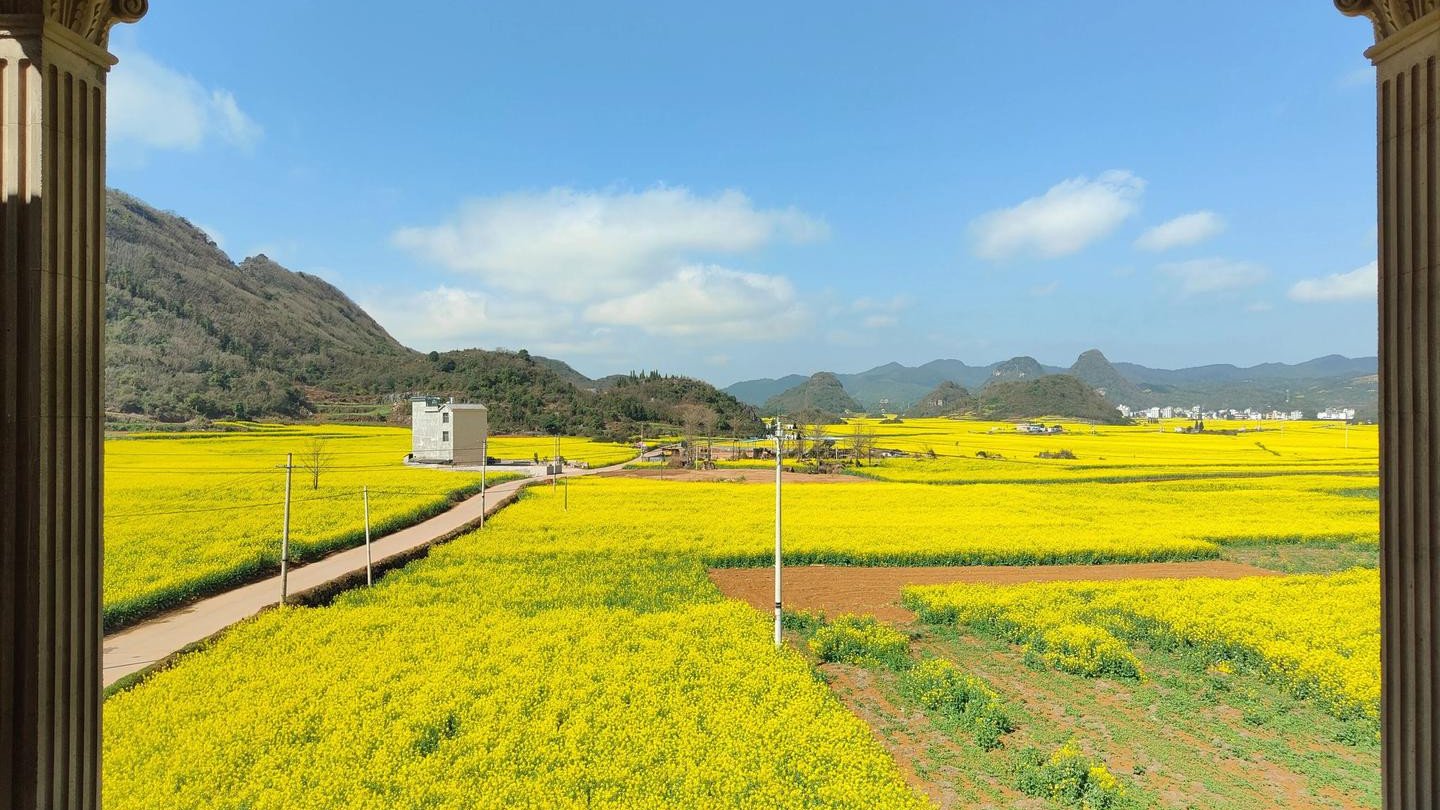 别被攻略骗！过年云南半月4人共花 6100的欢乐游记2-昆明红嘴鸥斗法