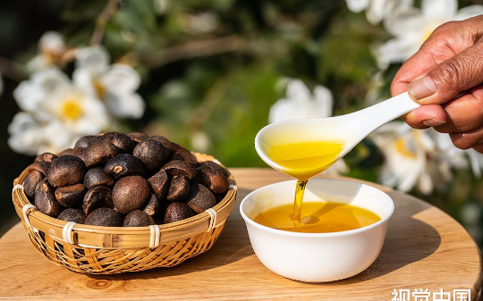 以前很火的“山茶油”，现在怎么不火了？有3个原因