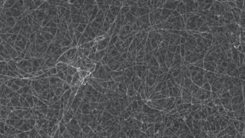俄罗斯与瑞典共研涂层 碳纳米管助力6G降干扰
