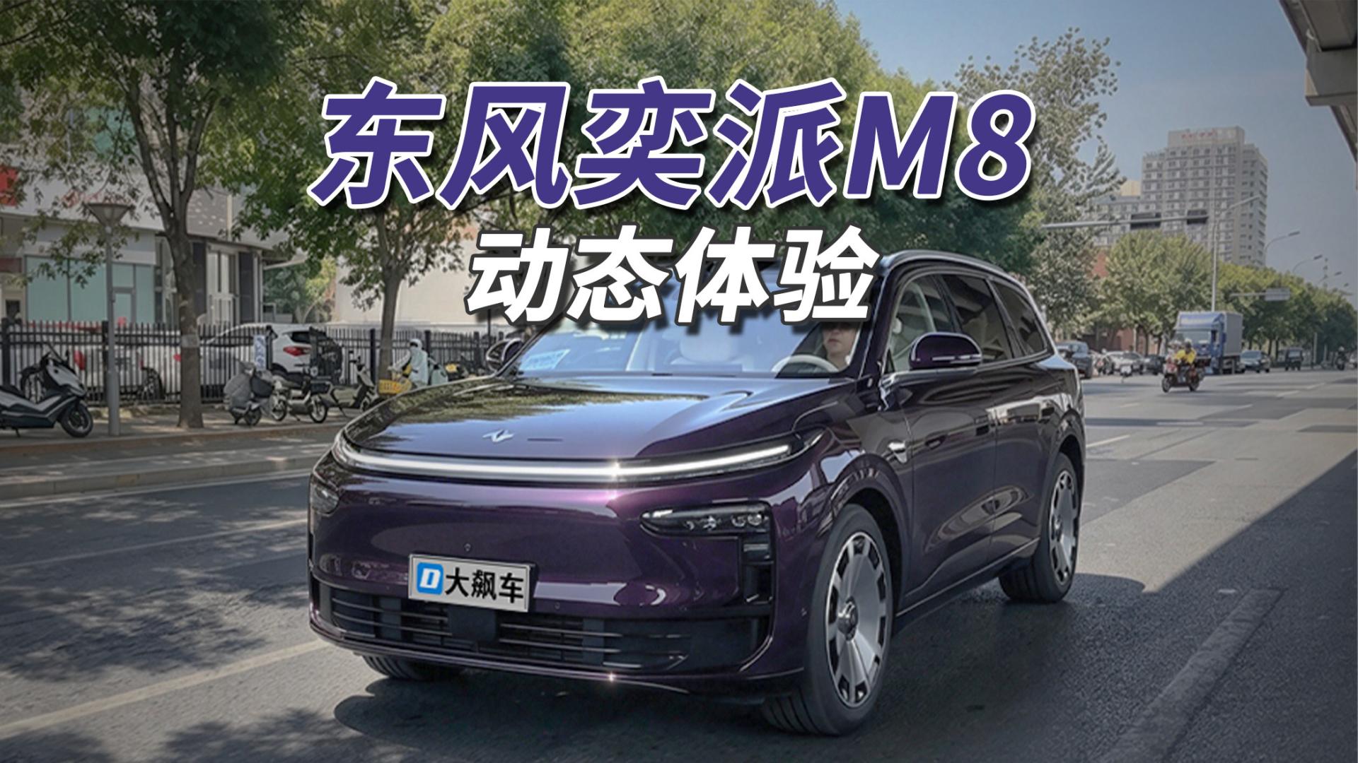 天花板级别的辅助驾驶，根本不想自己开！