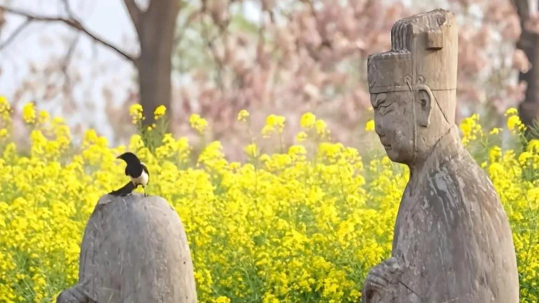 《沐春集》系列散文之四：春野拾翠，一口清鲜入岁华