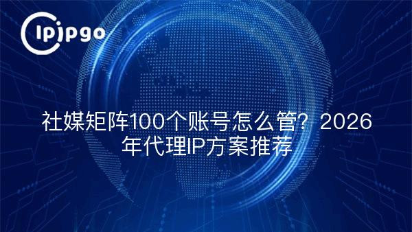 社媒矩阵100个账号怎么管？2026年代理IP方案推荐