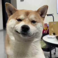 搞笑小星