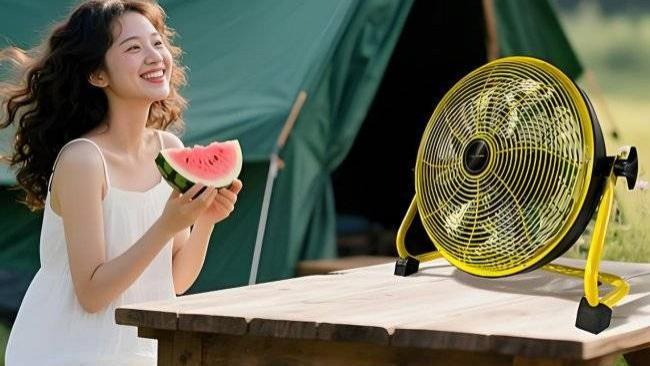 什么牌子的风扇好？2026年精心盘点十大公认最耐用的风扇品牌，买前必看！