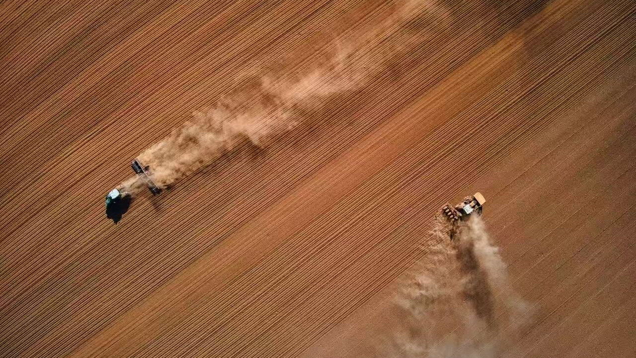 关于斜向构图的几个小细节