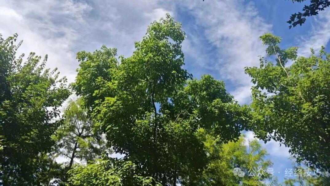 气血弱的人过夏天很难熬，功夫要下在“收”和“通”上，多坚持5个小动作