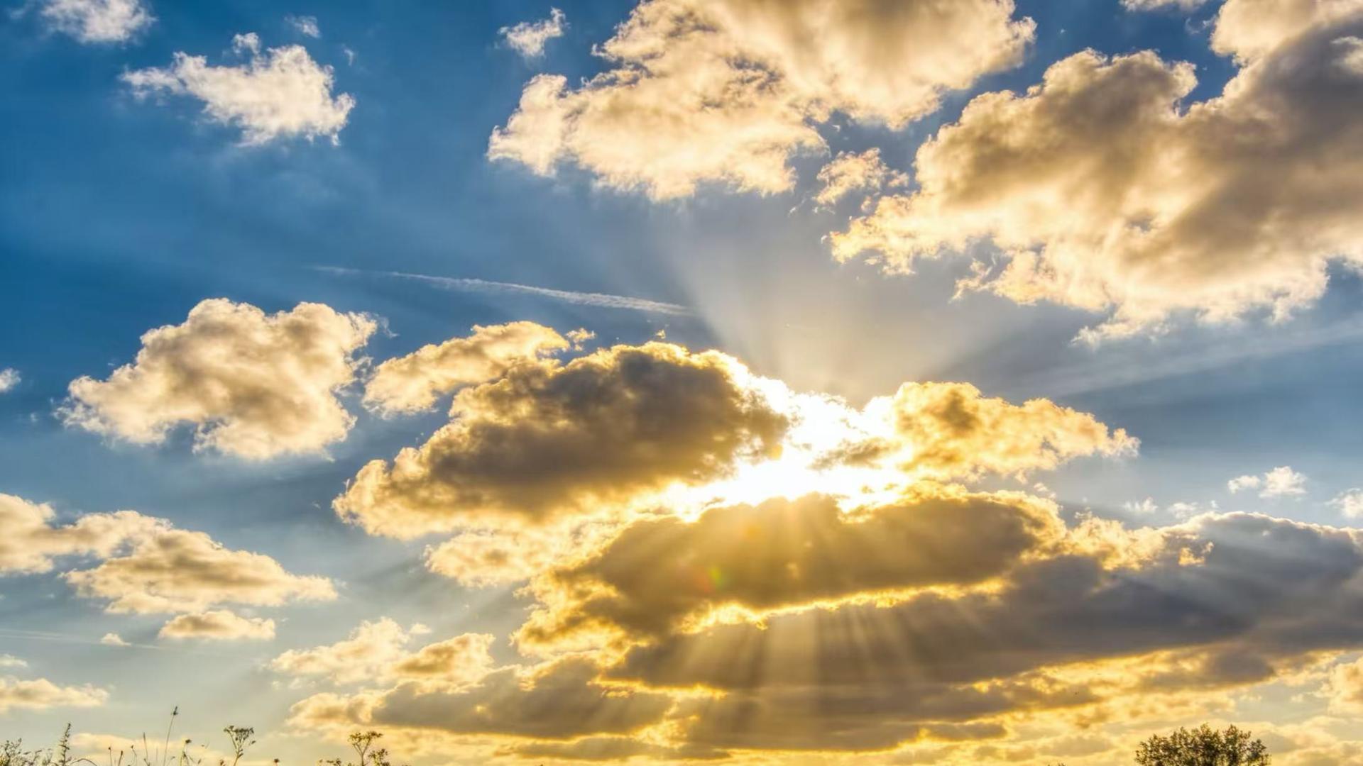 从合规筹备到成果受损 原浙江省天津商会为何卡在审批关