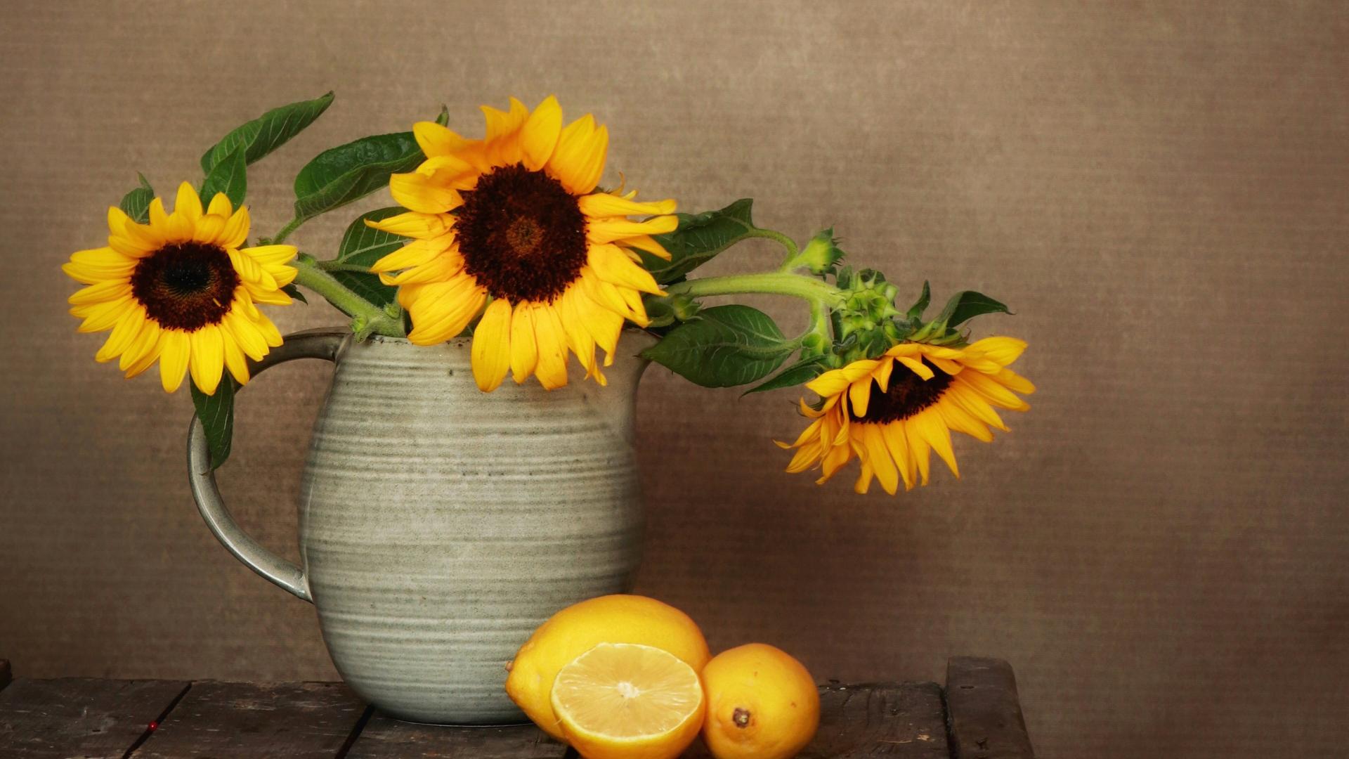 真正成熟的人，都懂得沉默