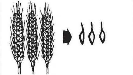 “齐”溯源：人心三角理论的“齐”丨文兴书舍