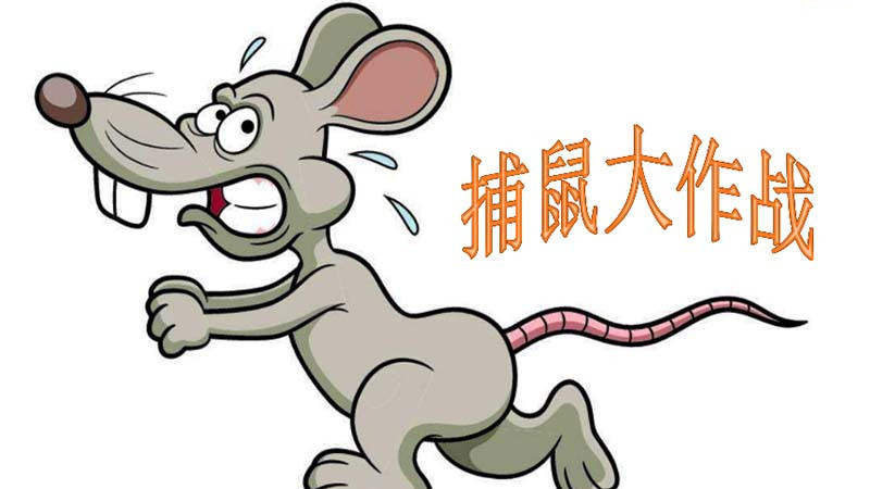 家庭防鼠从何做起？筑起居家健康安全线