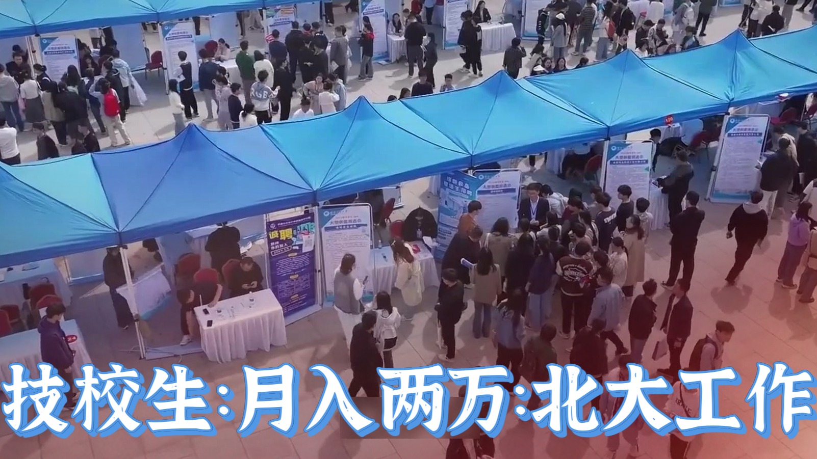 听说最近有群人特别忙——忙着嘲讽101个技校生"入职"北大。他们抓的重点很统一：