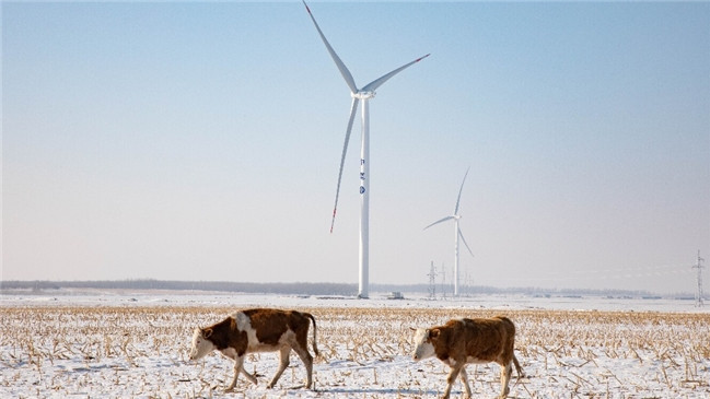 亚马逊宣布云南省寻甸回族彝族自治县50兆瓦风电项目