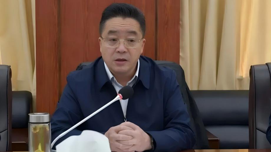 从“账本会计”到“林草高官”：宾军宜的半生勤恳，为何输在退休的终点线前？