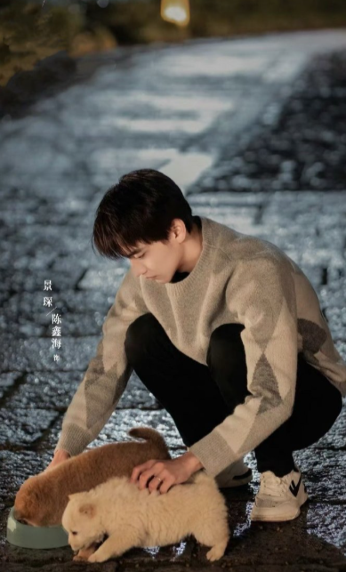 这部被低估的网剧，是无论看多少遍都会心动 ​​​