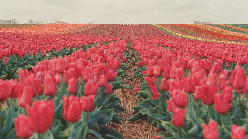 放下攀比，才能活成自己的光