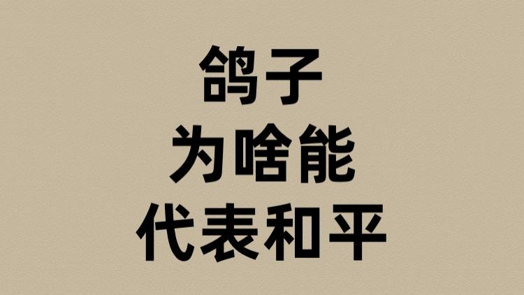 鸽子为啥代表和平？