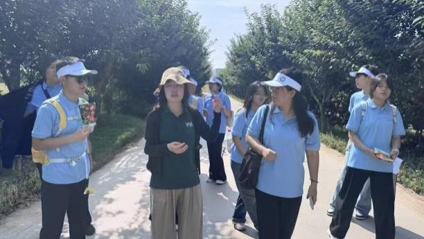 青春筑梦三下乡！宝职学子深入千阳果园，探寻生态种植致富密码