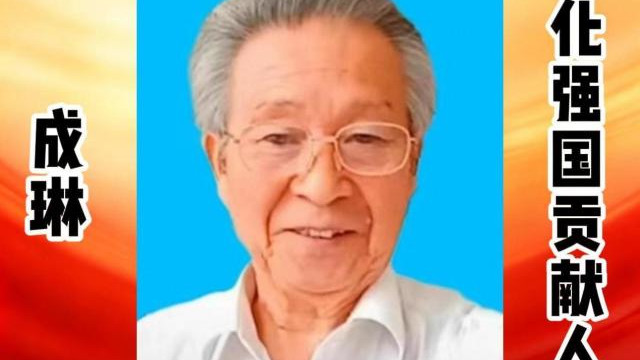 成琳——文化强国贡献人物 中国文艺界代表艺术家