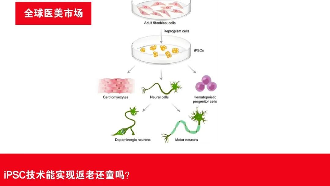 细胞级抗衰，硅谷富豪们正押注这项诺奖技术