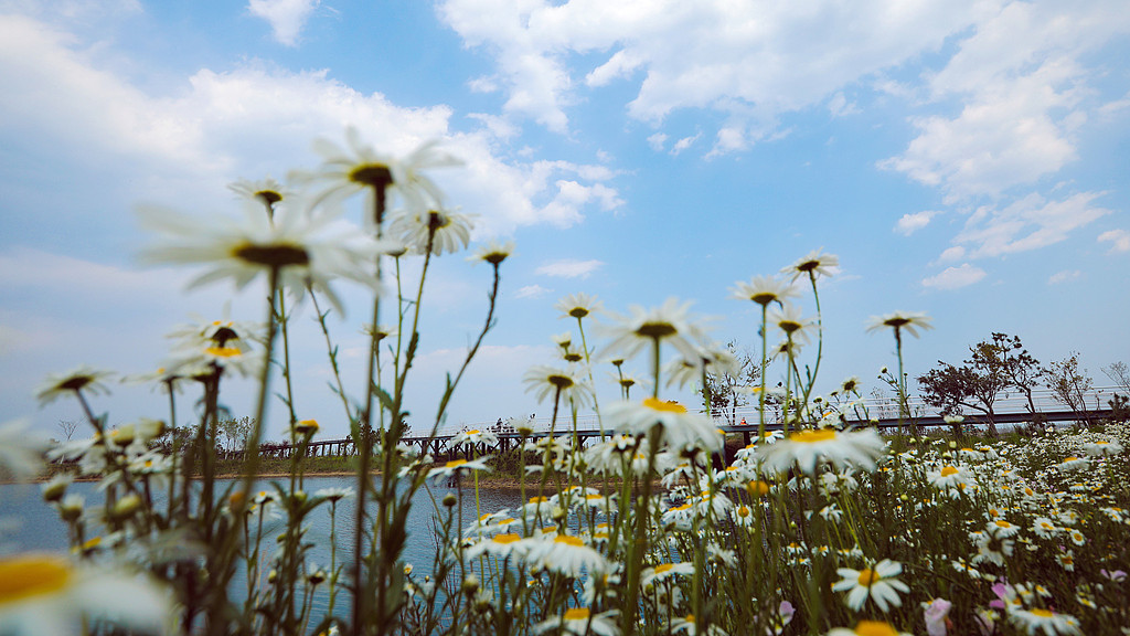 《吸引力法则》：你生命中所发生的一切，都是你吸引来的